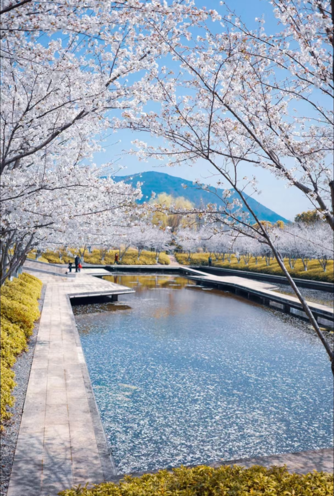 708a19647f8af15d0af614016818be80