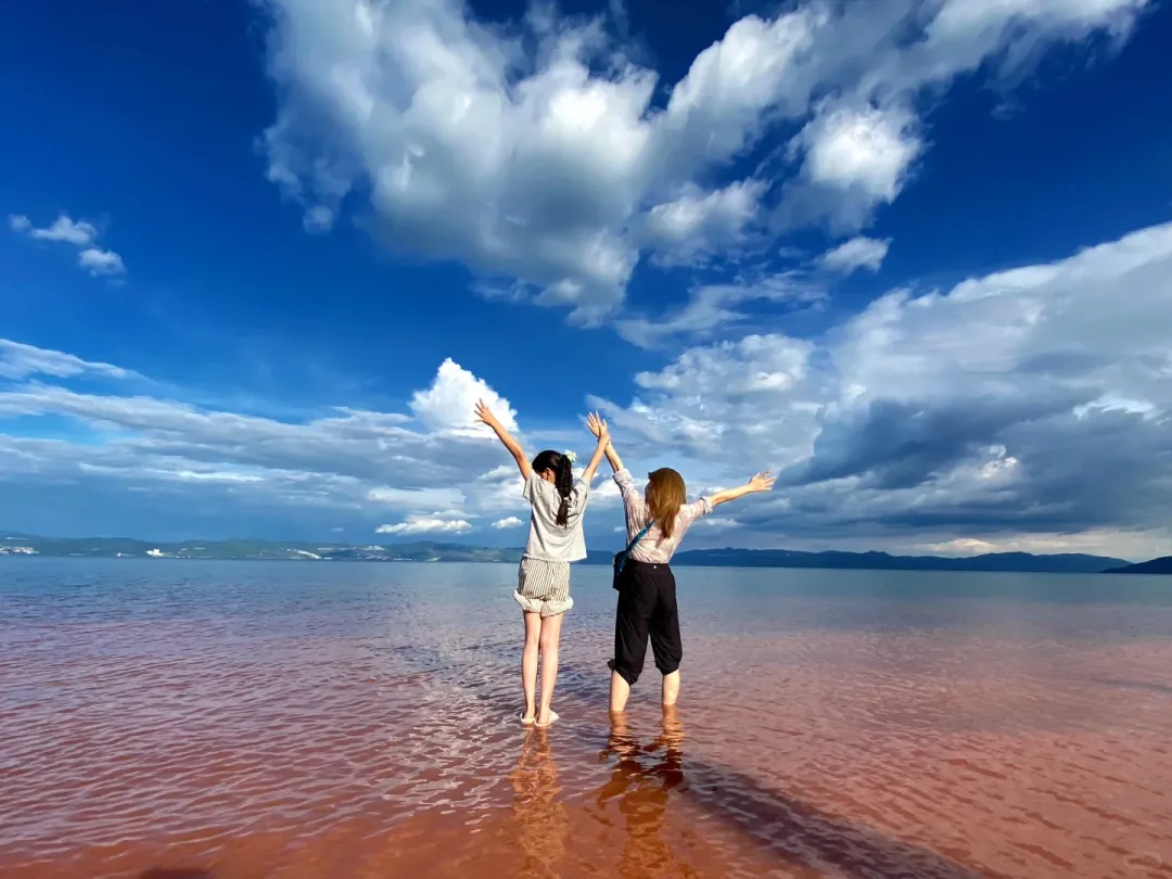 708baf92e5e29add2da30b521f662919-sz_2312606