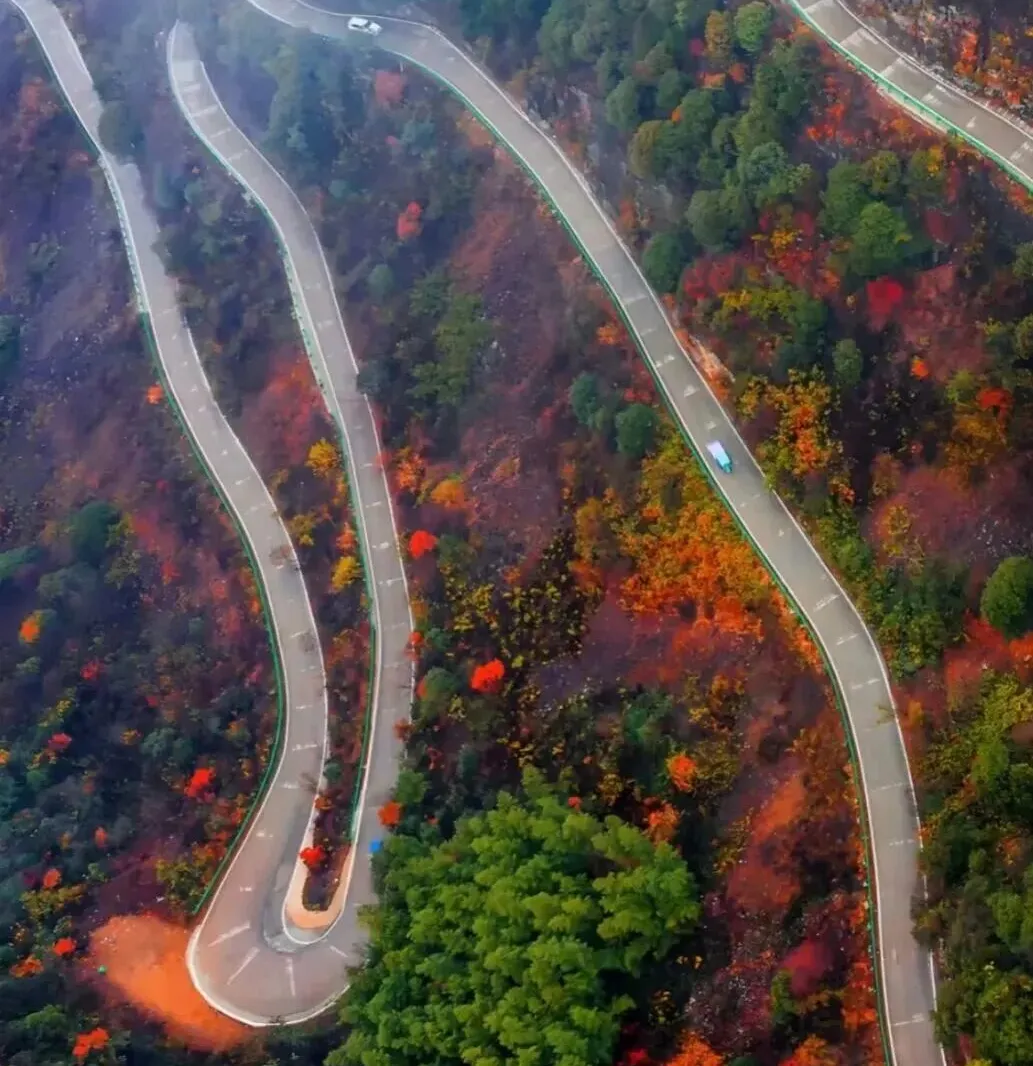 70a9d6d3f54751cf8149accf20dad5fc-sz_223205