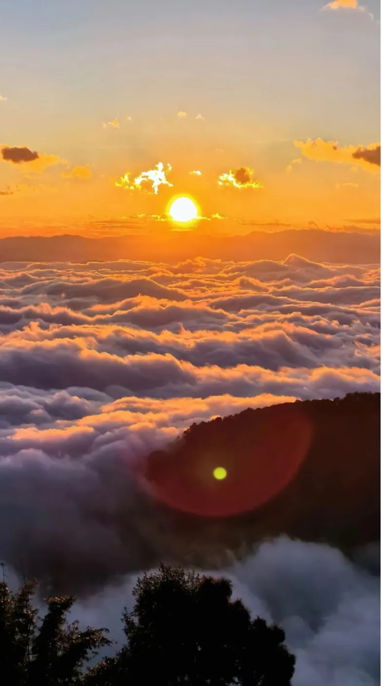 70d7e07092beac1d8a6425ec5ccdcf5d-sz_215817