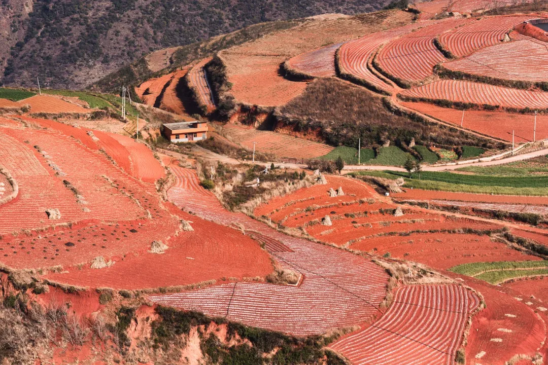 70eb81c0923df55899d9034997dd7f1e-sz_5235744