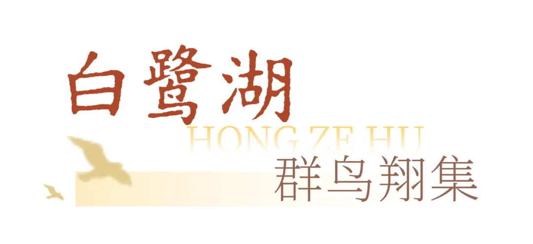 7101cd8be50630237099e7f4750ba33c-sz_89362