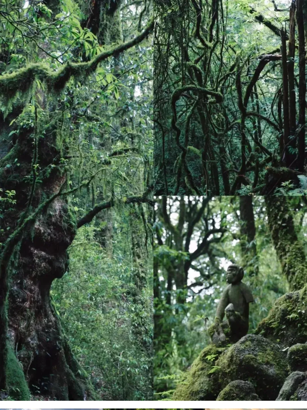 712d00195e34124bbb126144ca143ba6-sz_827635 712d00195e34124bbb126144ca143ba6-sz_827635