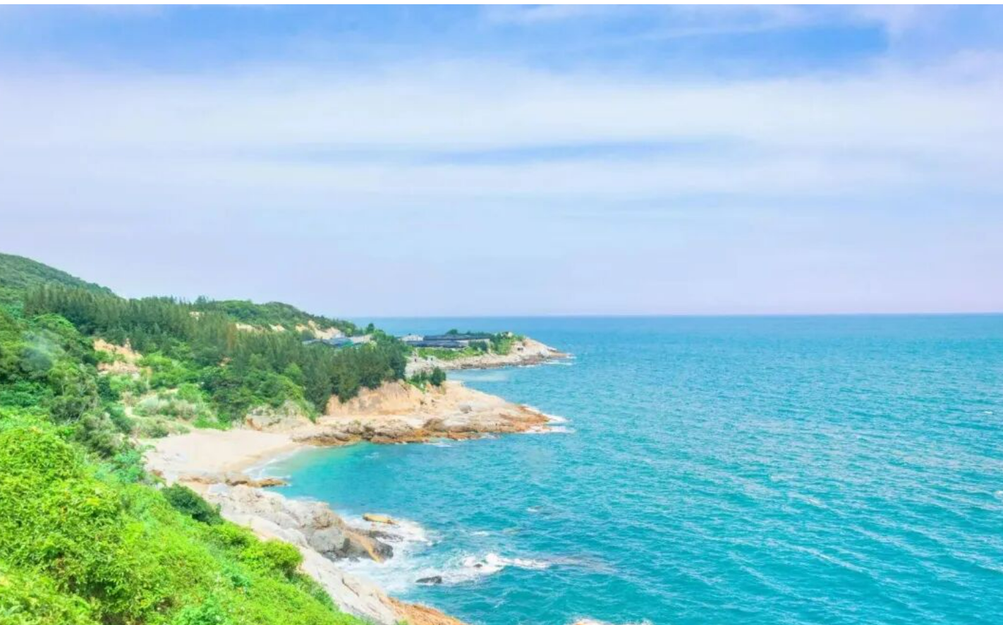 714d4fc5a92b07cbf435649e0b515a41