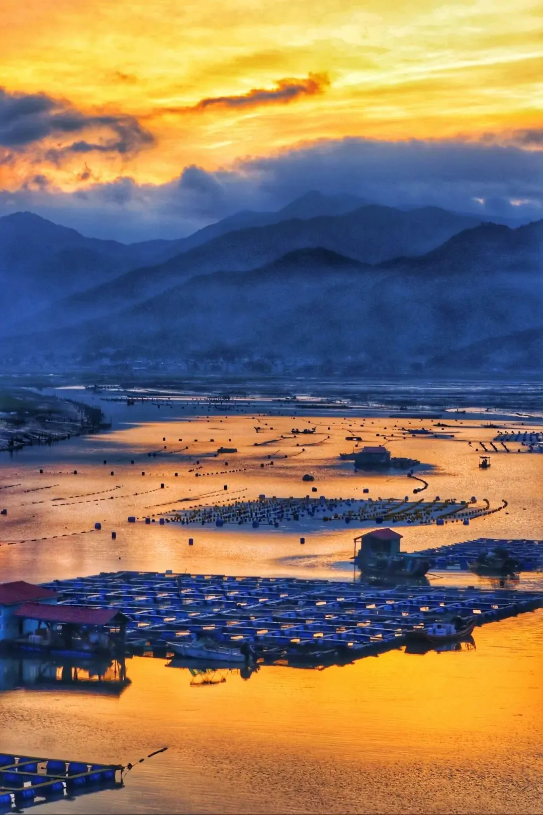 720916db7d089af79f043600341223b1-sz_235164