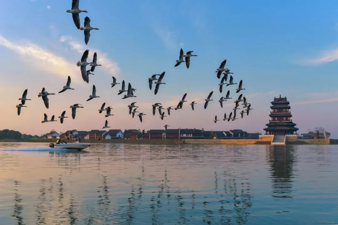 724310b536862b01b0eed09540042fbf-sz_88712