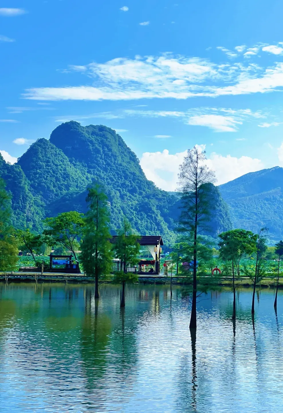 724bfc88b5b08348bd478f17223c02d4-sz_2165360