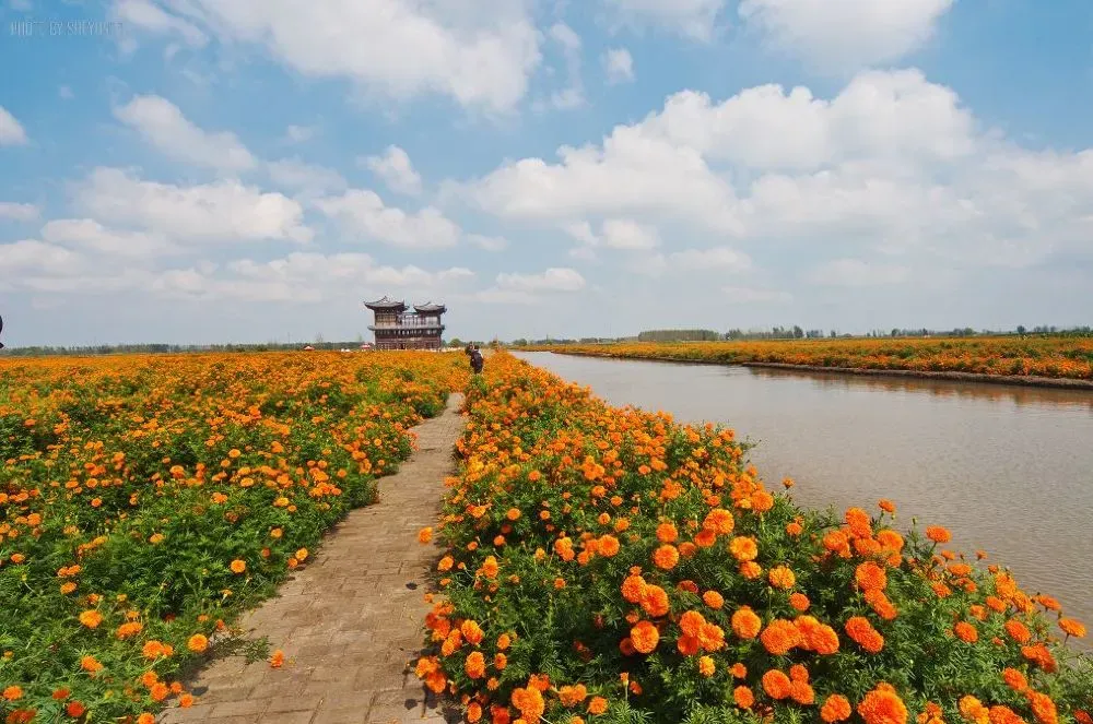 728b740bc83d8170b1cfc7728cce3820-sz_1309846