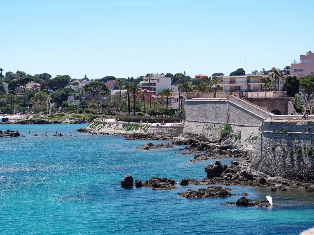 72a92bc68724985ea02d896143b0d1f6-sz_442148