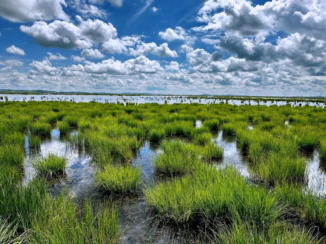 72bdfe9706cbc4ec86c8e4478d05f140-sz_1378512 72bdfe9706cbc4ec86c8e4478d05f140-sz_1378512