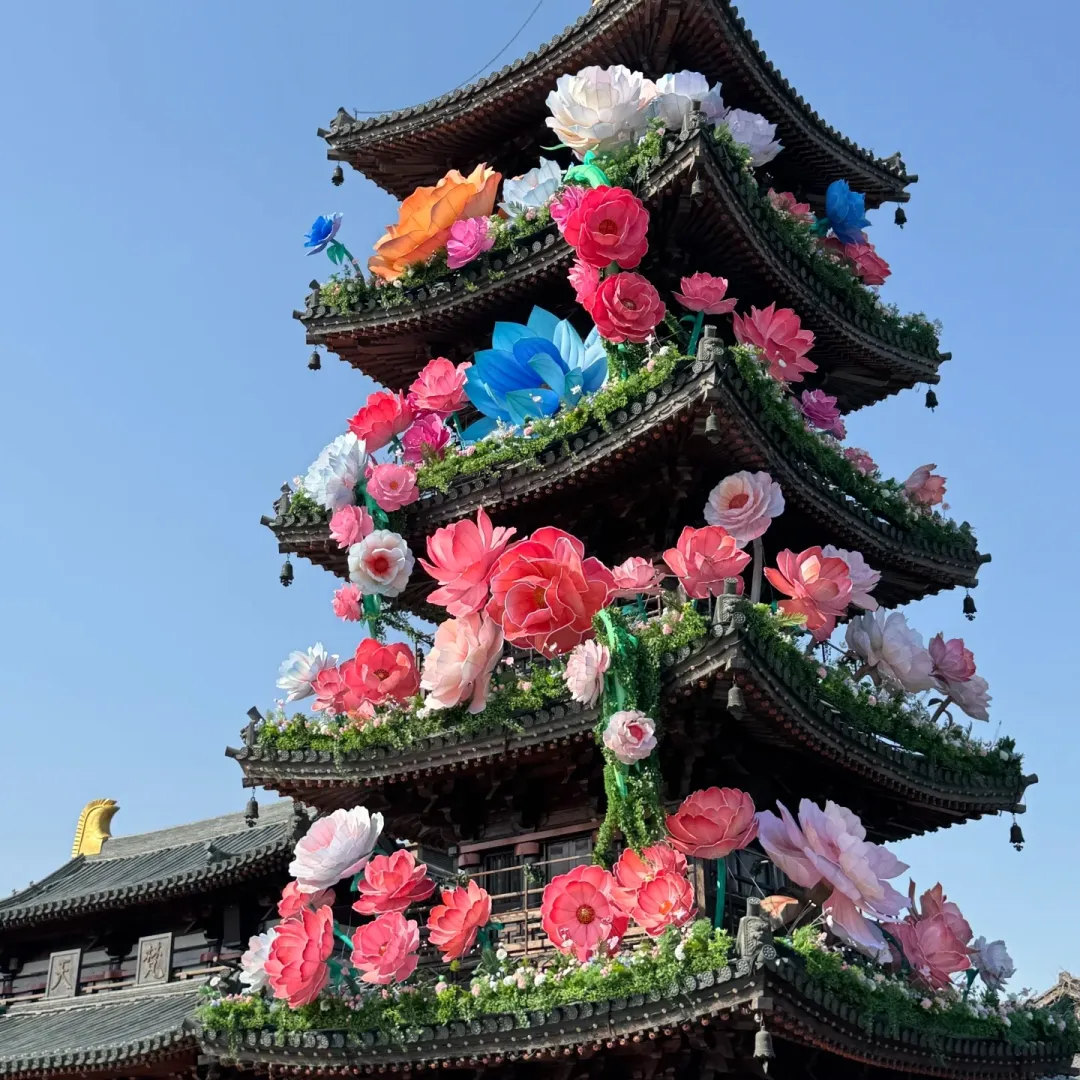 72d14e4f03f5f46a6d215be09231fdb4-sz_1431263