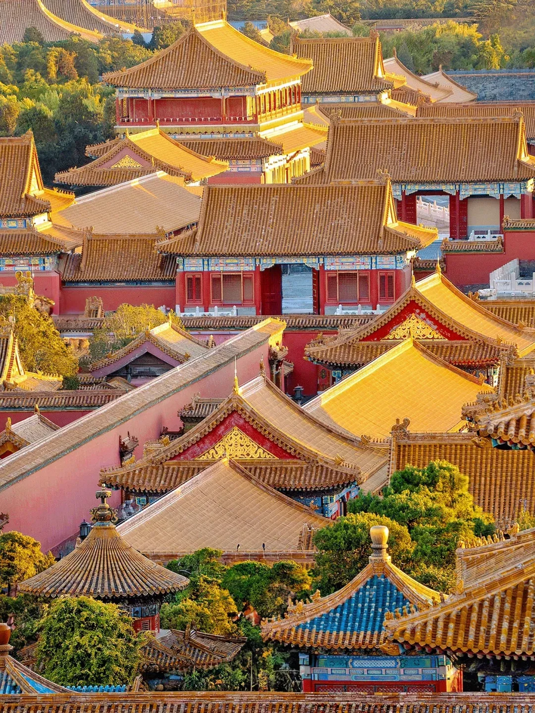 736fa0ced806e18fcc588b6e2de7368b-sz_3490936