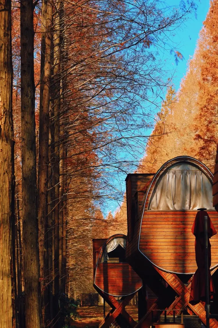 737d28932a81a611109cea4e71f1bf81-sz_1170006