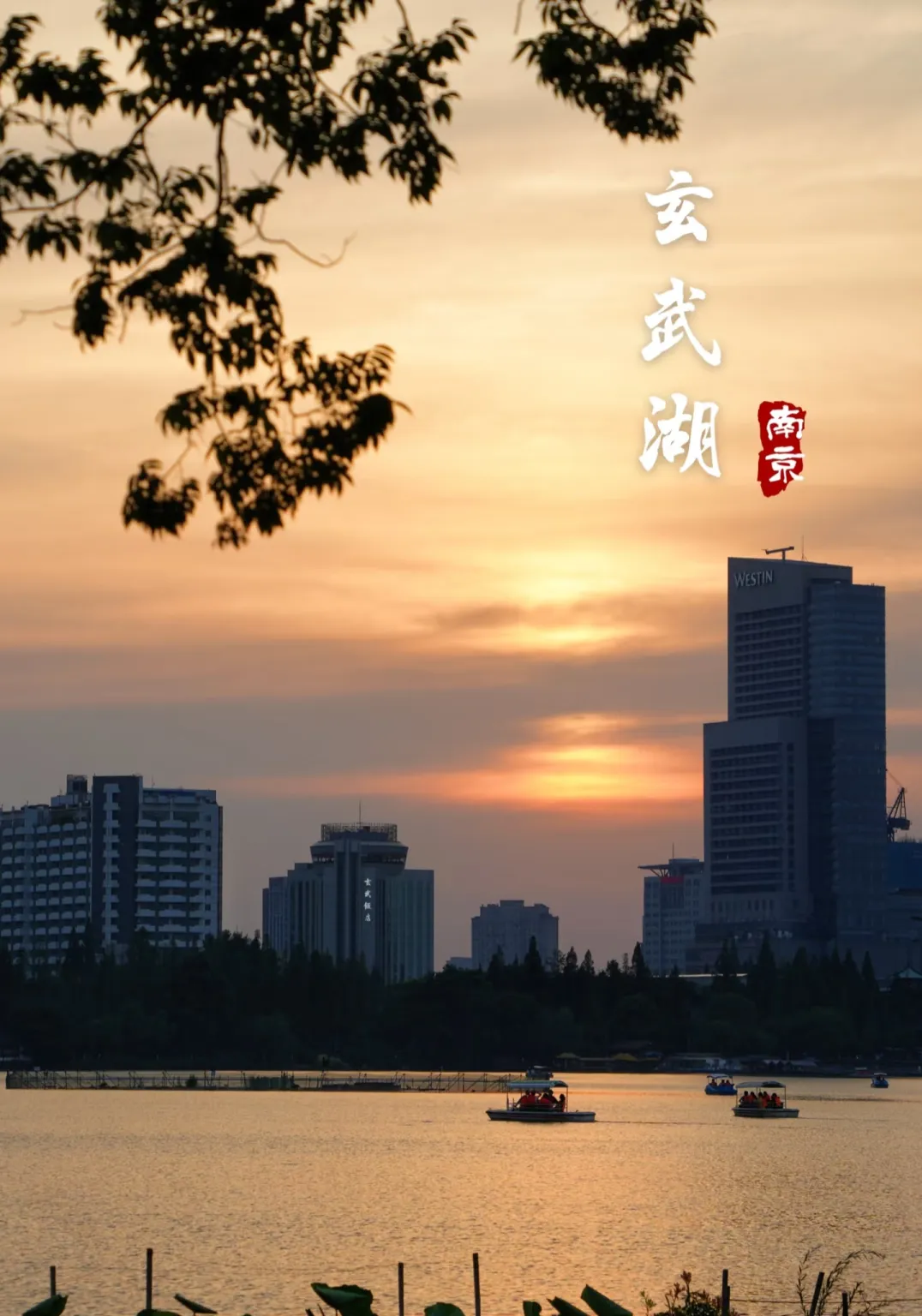 738039378c2f6a3d2c9b2571e7f4f709-sz_1184749