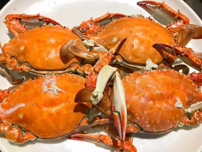 73836860a2099cec1c2b825dba34285e-sz_68642-1 73836860a2099cec1c2b825dba34285e-sz_68642-1