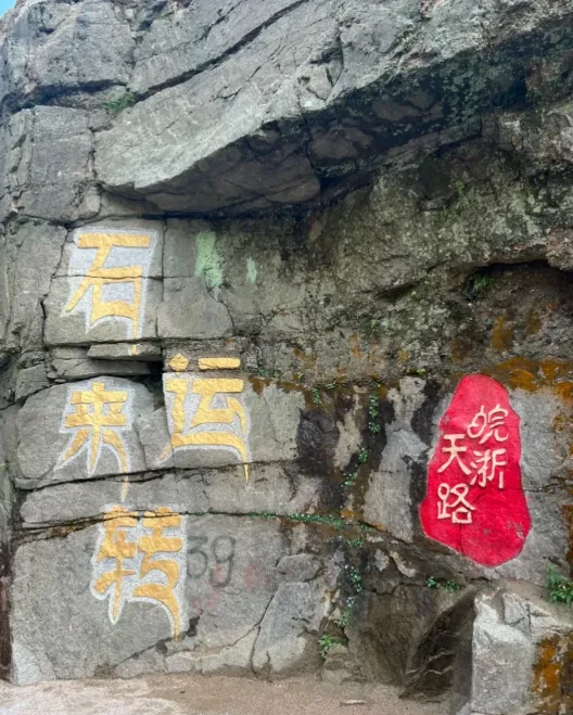 739d1fb2755cab9d703bb4a8e1dc754a-sz_961677