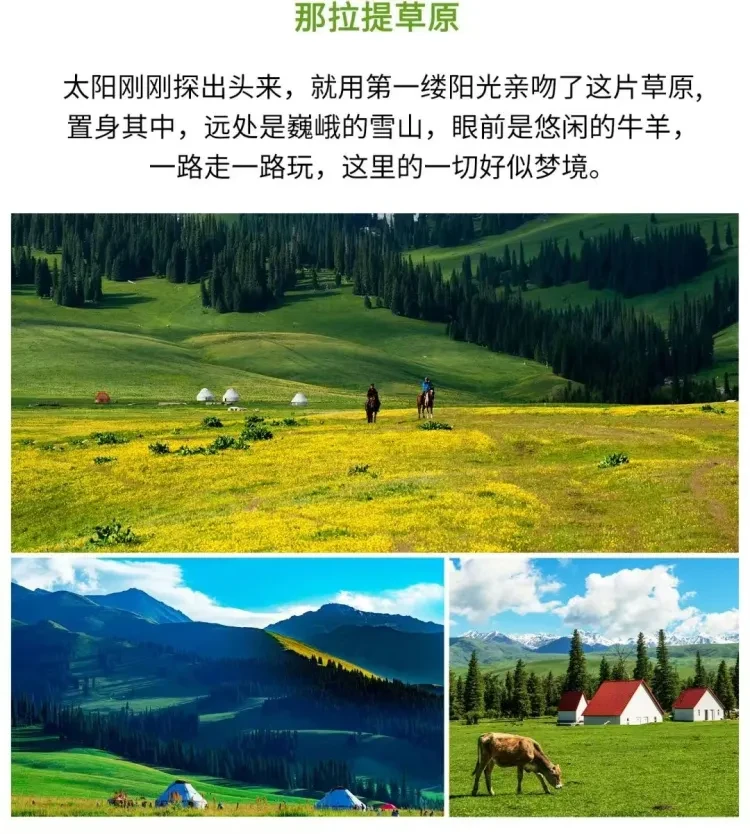 7406ea696c900f74ed54a549b8febc0c-sz_2544362