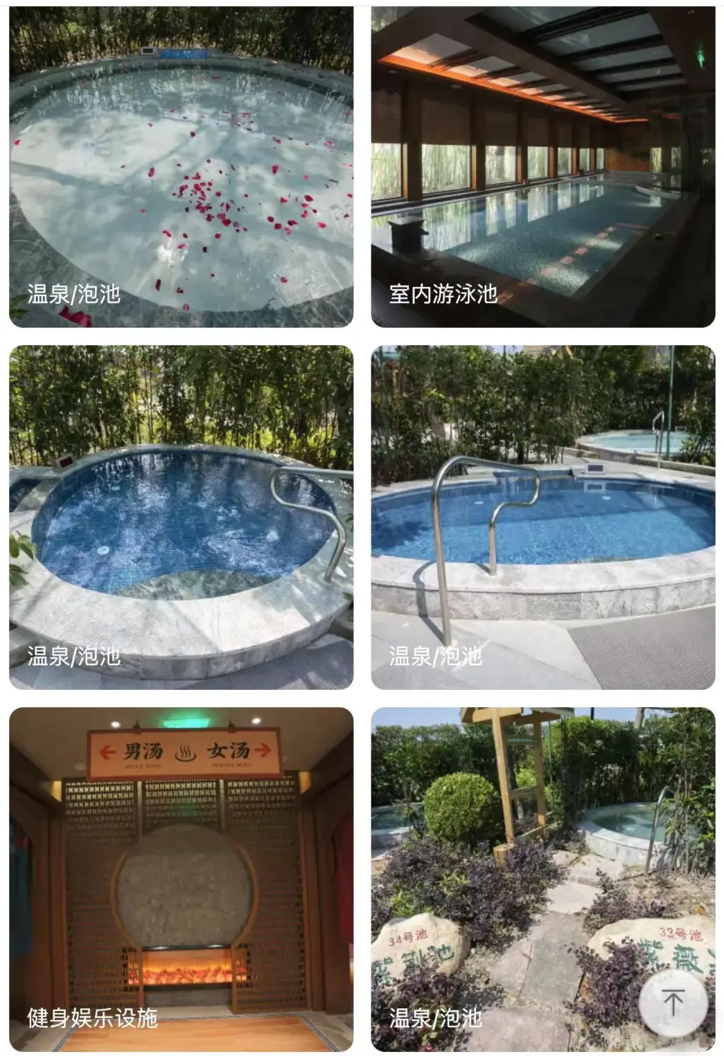 【崇明过大年❤海上花岛3日】自驾999元起✦海上花岛生态酒店✦1顿2888/桌豪华年夜饭✦2顿888/桌高标团餐✦棋牌✦玫瑰养生汤泉