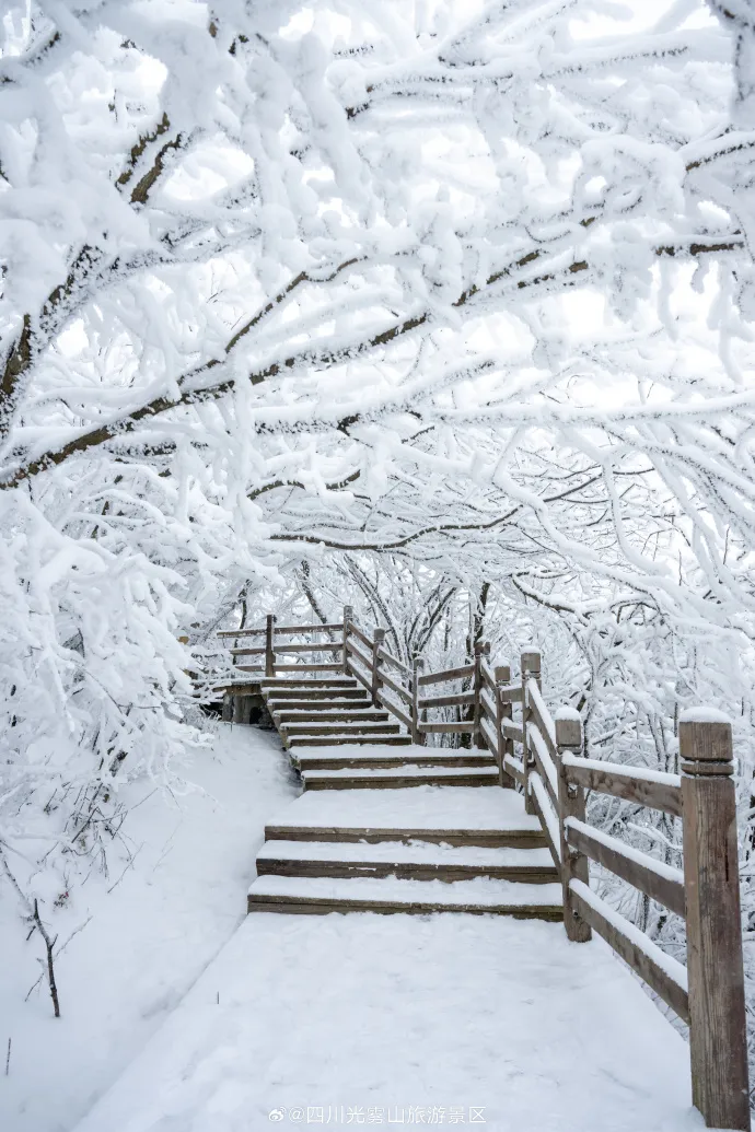 7435d76543b533771ec40b988def9539-sz_309528