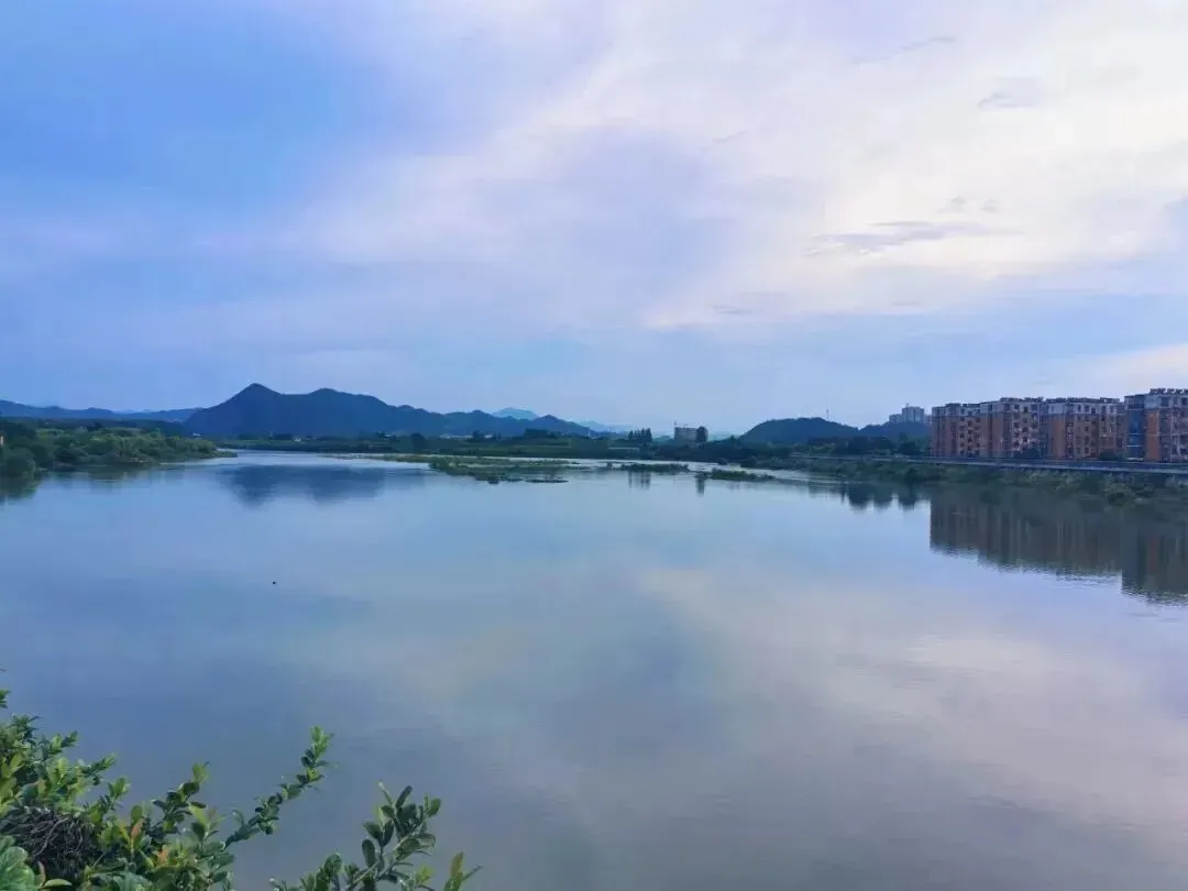 7453bbcdd1a3000f49516454cba006e0-sz_51482