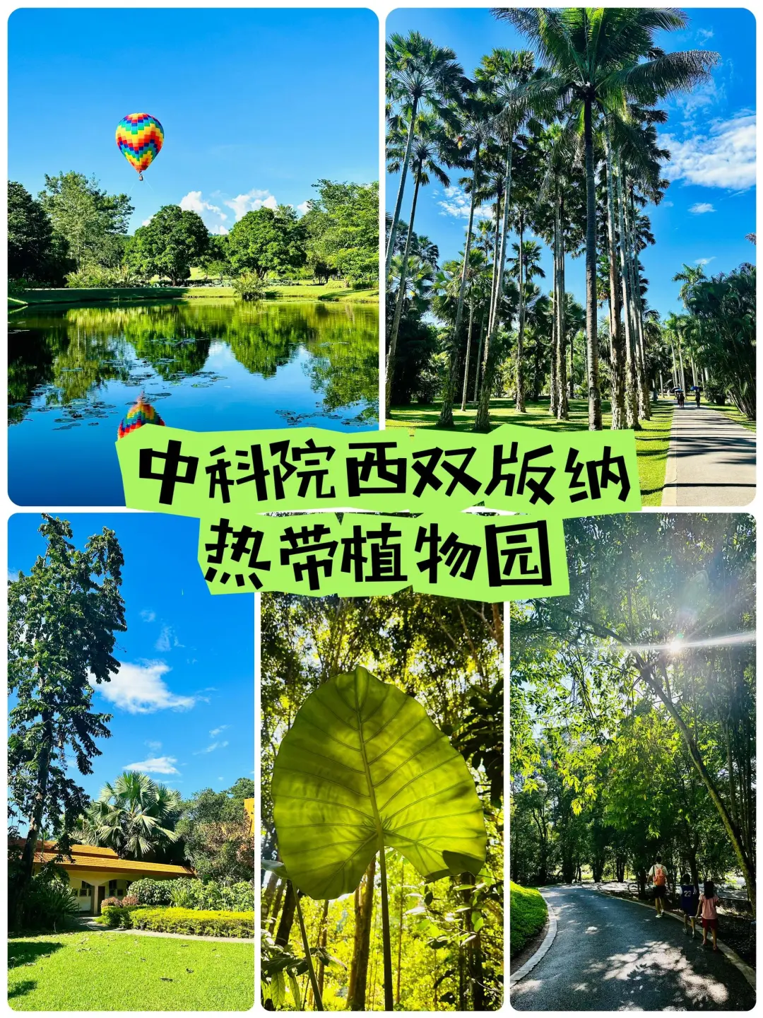 747c4c7091006f71ad58e7a27cb32bca-sz_1316086