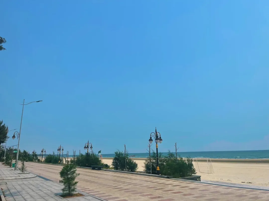 747ff51070931a85ead8d07984ccb98f-sz_165559