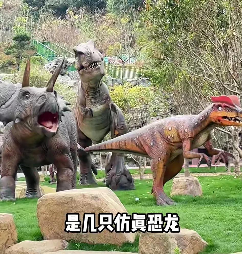 74814c447a2f627e52c94098f736f263-sz_748483