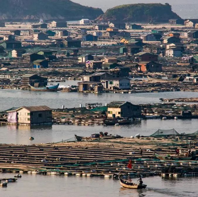 74bf3cb64a1e4b04056ed3862e32b93f-sz_112093