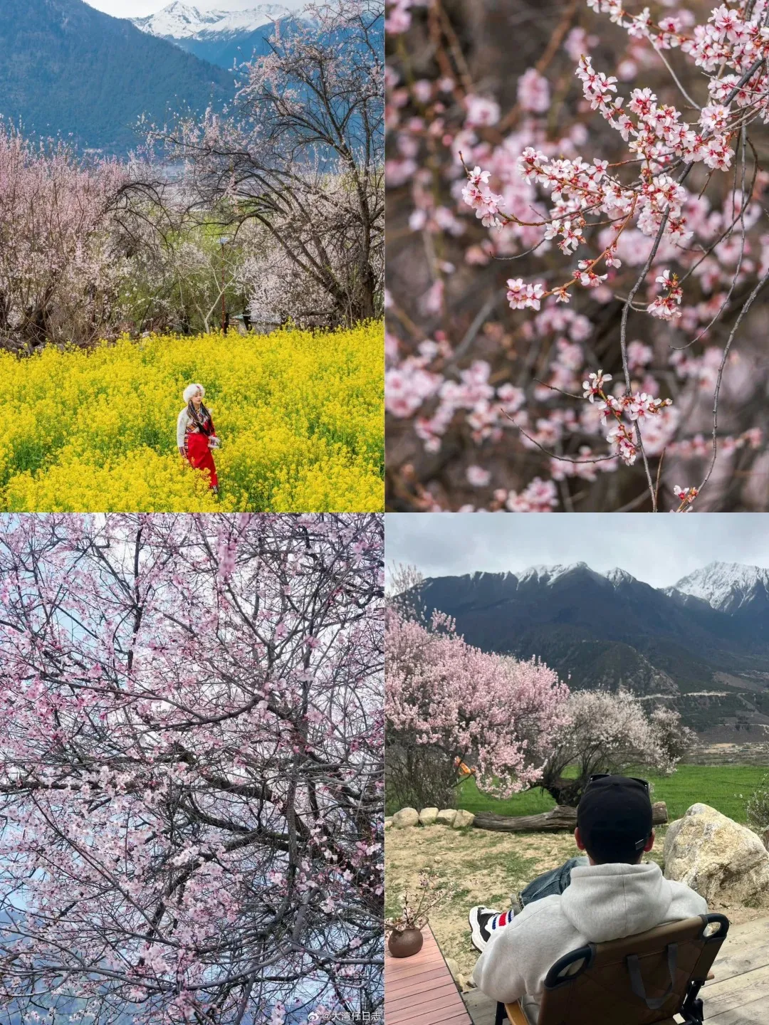 74d54527c6cccee1c660af128a09eb31-sz_693856