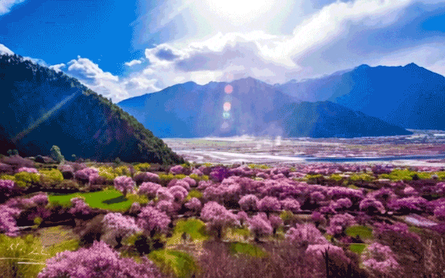 74d88f97979cc5a6dbde2884d768c8ec-sz_5143852 74d88f97979cc5a6dbde2884d768c8ec-sz_5143852