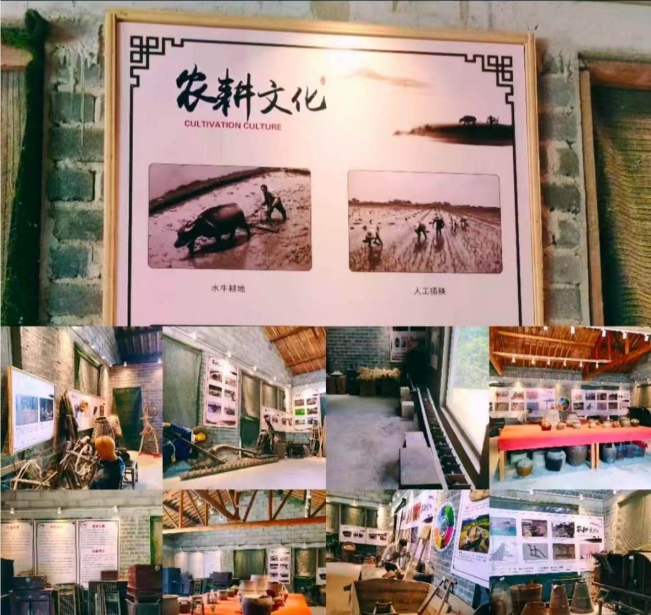 74d965260e70416952b23a6e275af5ed