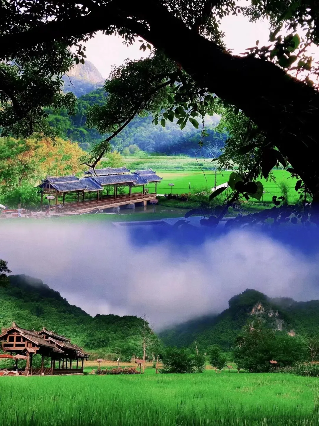 74e147d81181a2f57c39f7c9d9c001b5-sz_1722635 74e147d81181a2f57c39f7c9d9c001b5-sz_1722635