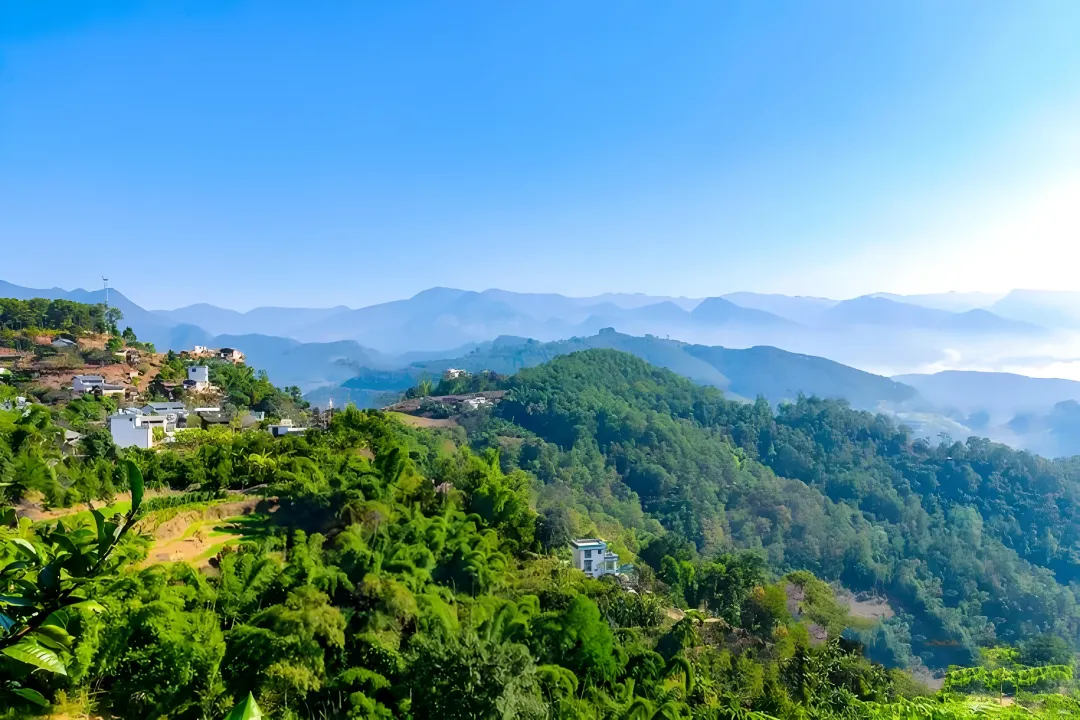 74e384c1087455d0f420617f6c6e6e1c-sz_5502157-1