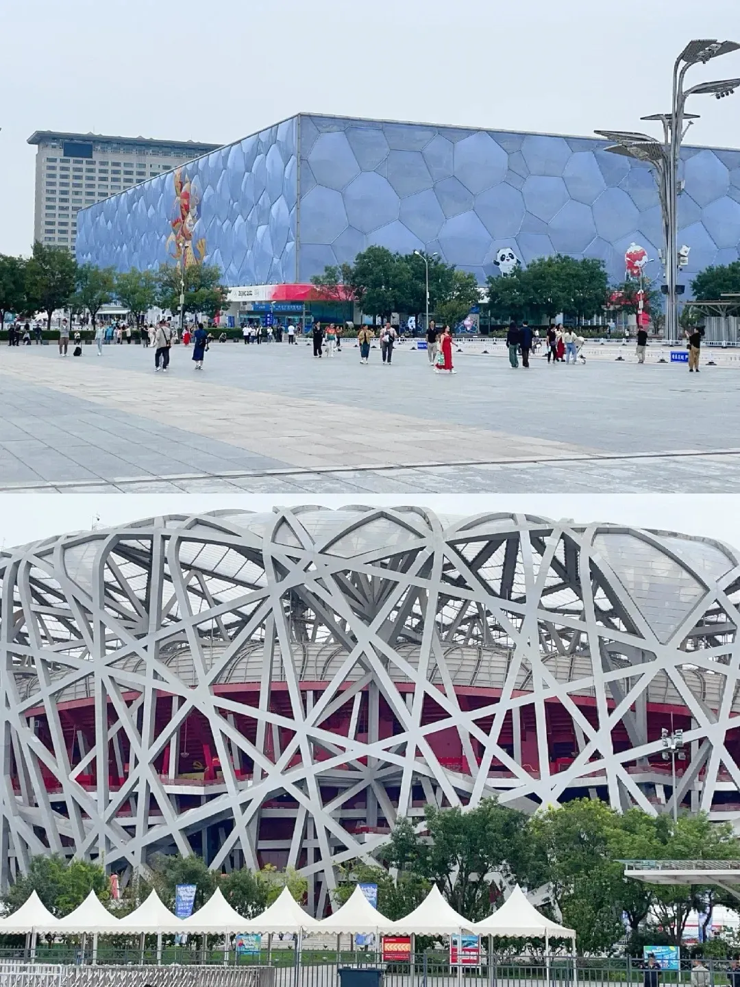 74e8ec5ee300de56ea67183a2318fb4f-sz_499818-2