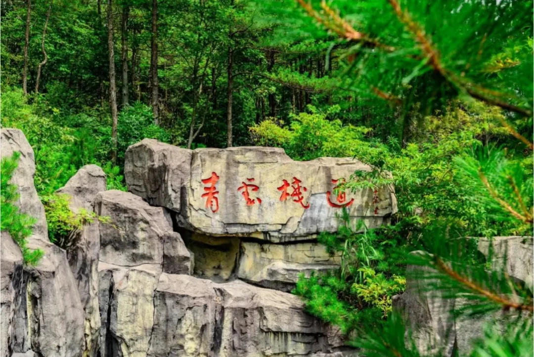 752a78993838dd80d65636a2a700f561-sz_1590208