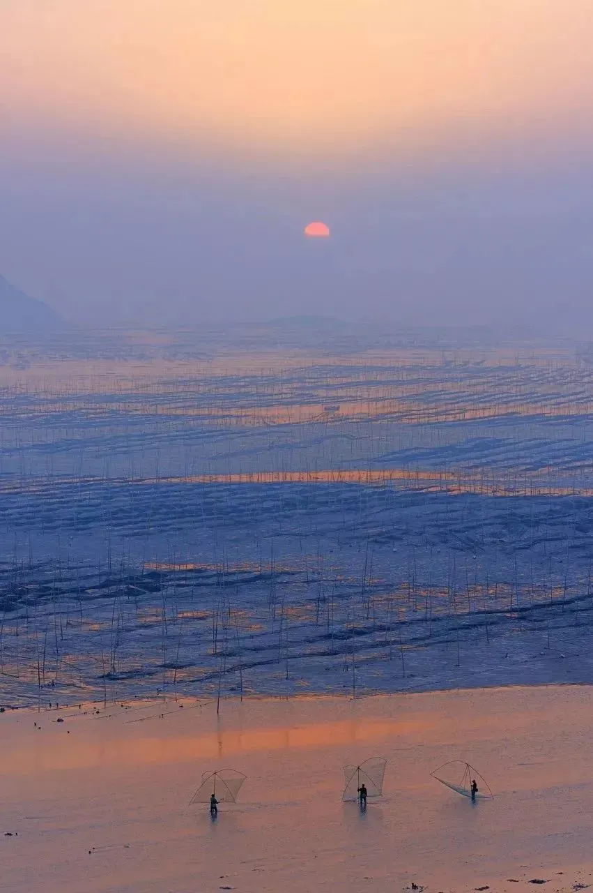 759750c7207c0edbd1f7a1d2a9d0c735-sz_113097