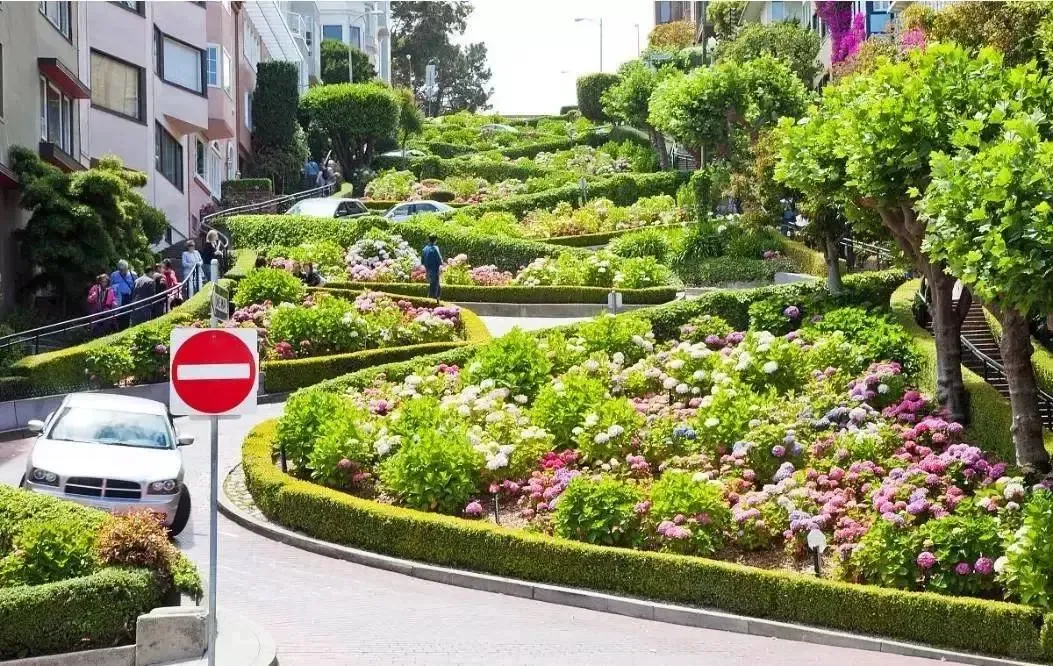 75cfb22f0632a154c59a72cd4444a226-sz_2000831 75cfb22f0632a154c59a72cd4444a226-sz_2000831