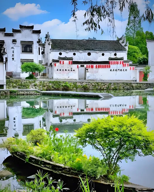 760f0d280a1d8864efc1ab1789fa4a24-sz_803788