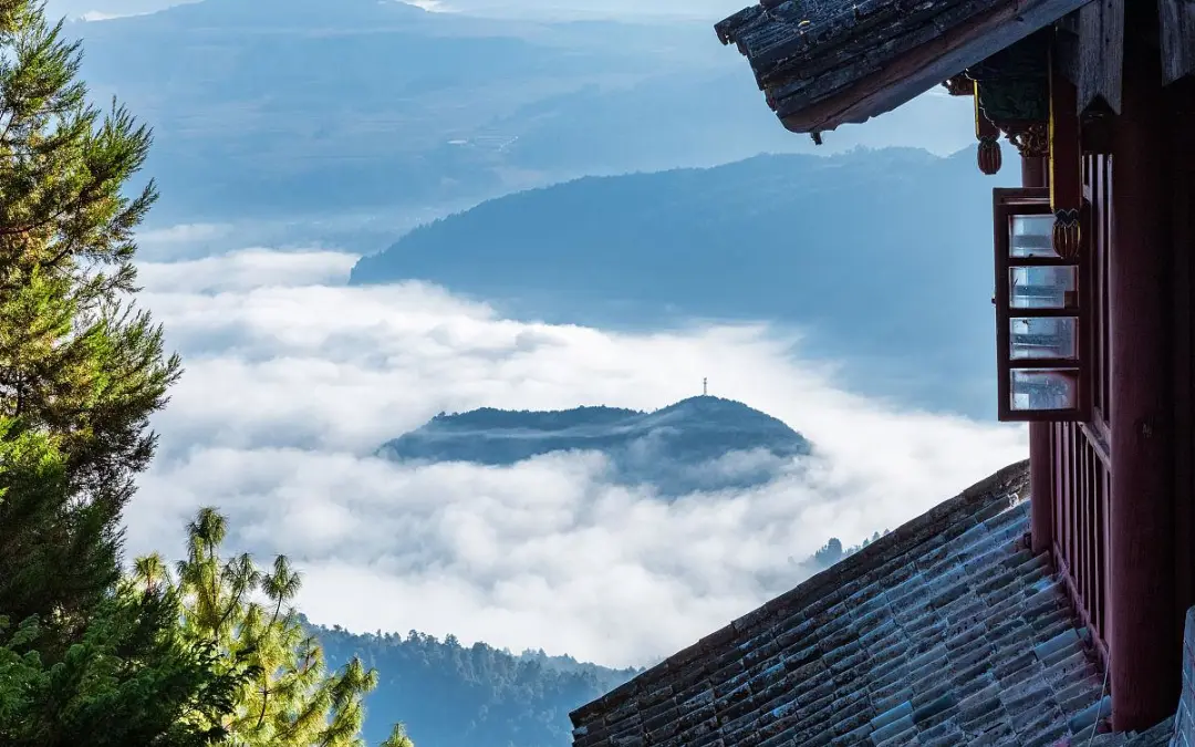 763fd39a03ec6d810615a01b432b25c8-sz_182242