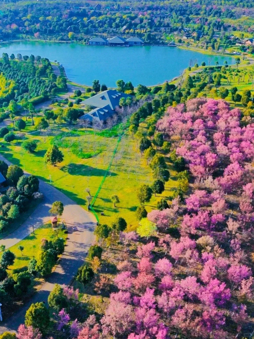 764373d27f9dadc6476868741ccf6a23-sz_4005916 764373d27f9dadc6476868741ccf6a23-sz_4005916