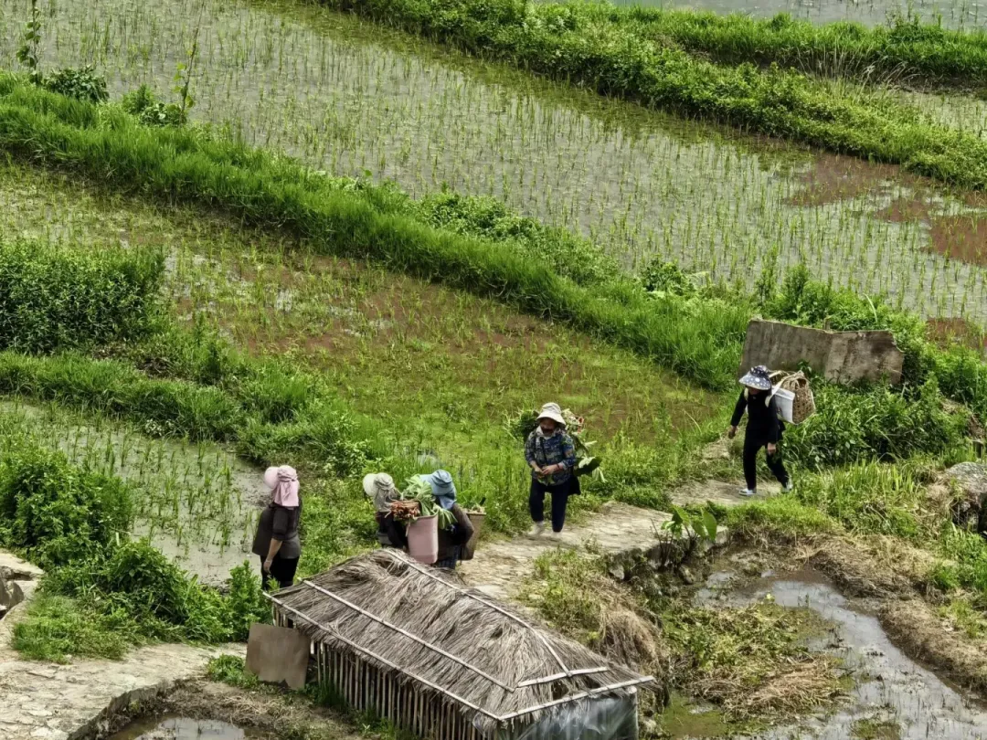 765e4d703eb57b4d8354ed463f6077cc-sz_4464241