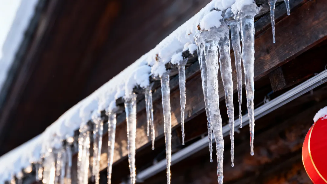 766cfeaa8d2bb65b01f98e842a68a656-sz_1182641 766cfeaa8d2bb65b01f98e842a68a656-sz_1182641