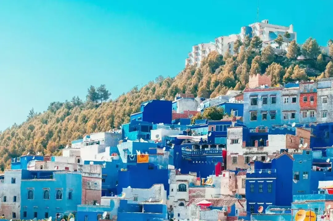 76781df0a16bbf4aebb4848ee1615336-sz_3081125