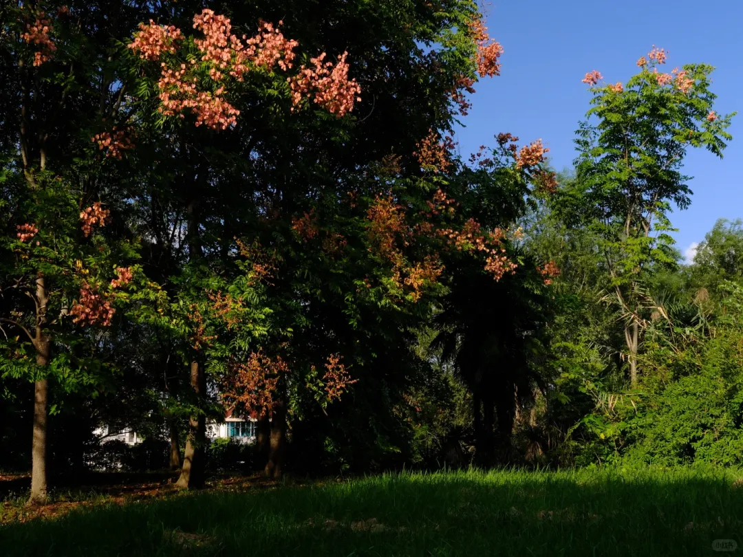 7682c3b158bfd410c22bde01821af7f9-sz_2733700