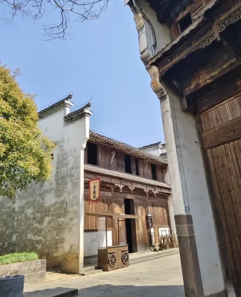 770a46ee786205b00b779e381299f707-sz_647229