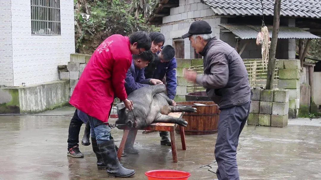 771ca2e282af41103e349a67eb6c82d9-sz_1441839