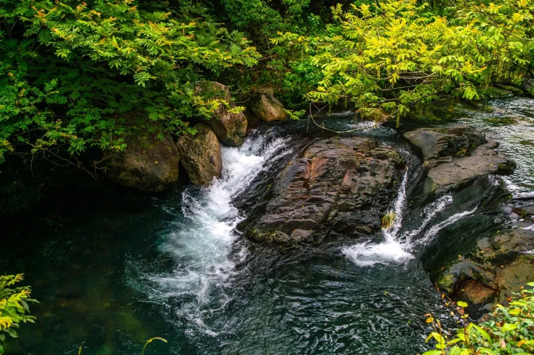 7724febee9544fc6b871560ef828023a-sz_335490