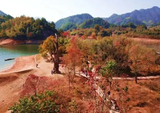 772fb1bec08eb30eed4c914a4c4be159-sz_498207-1