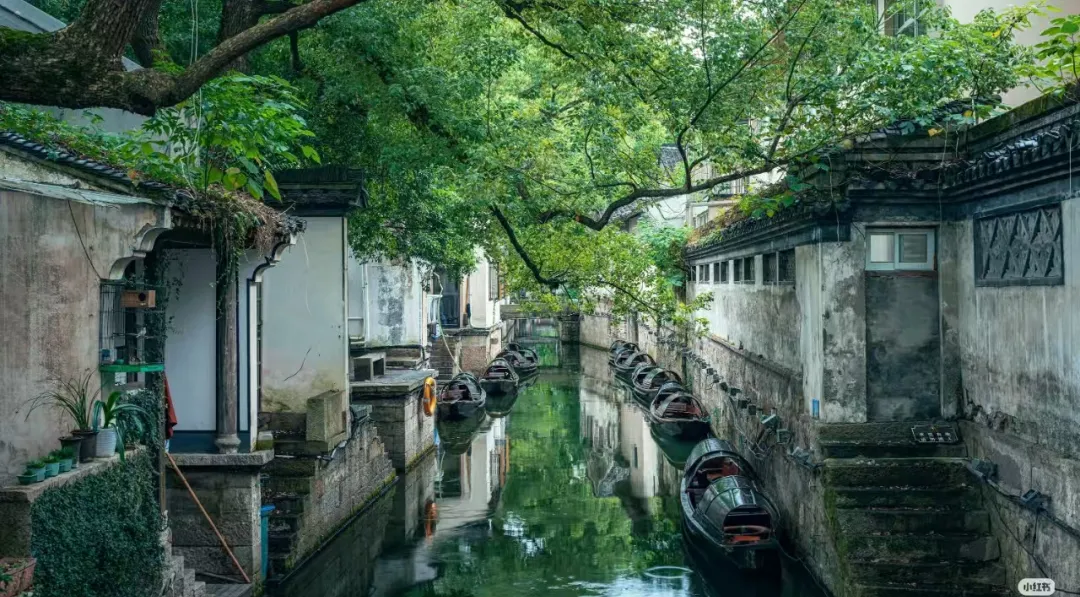 77316ececaff8d8b2d6e474c4e2f893d-sz_874597-1