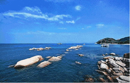 773ded75e422517bfff92c4f7310046a-1